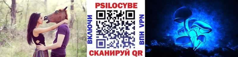 OMG ссылки  как найти наркотики  Курлово  Псилоцибиновые грибы Psilocybine cubensis 